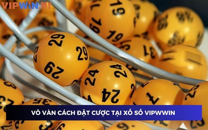 Vô vàn cách đặt cược tại xổ số Vipwin